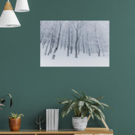 Poster Floresta congelada coberta de neve no inverno