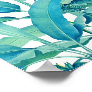 Poster Floresta da banana