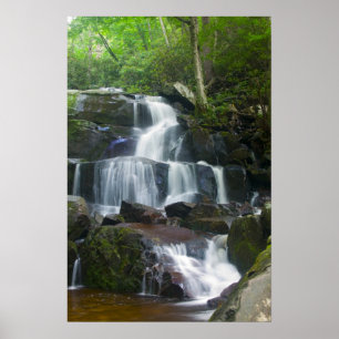 Póster Floresta da cachoeira do lapso de tempo