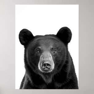 Poster Floresta da Urso Preto Retrato Moderno preto branc