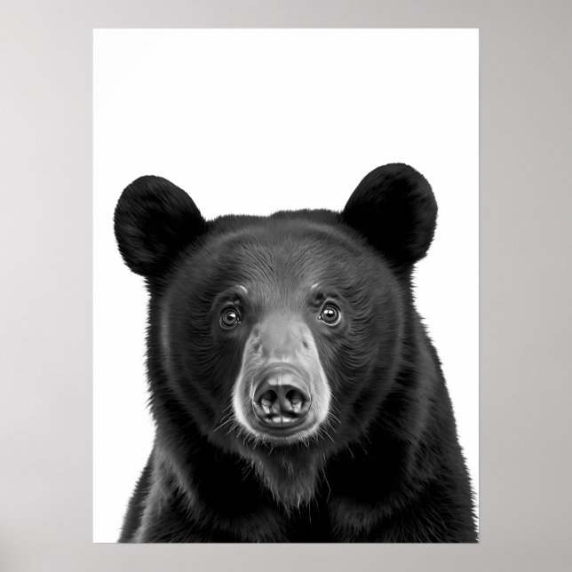 Poster Floresta da Urso Preto Retrato Moderno preto branc (Frente)
