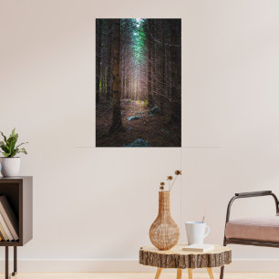 Poster Floresta de abetos misteriosa