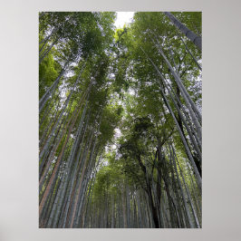 Poster Floresta de Bambu - Quioto