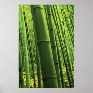 Póster Floresta de Bambu - Zen Art (peça 3 de 3)