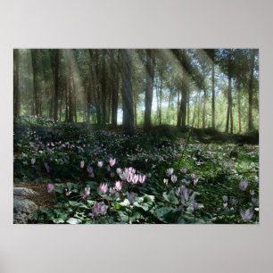 Póster Floresta de Ben Shemen em Israel, Terra Santa