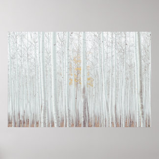 Poster Floresta de Bétula Prateada da PixDezines