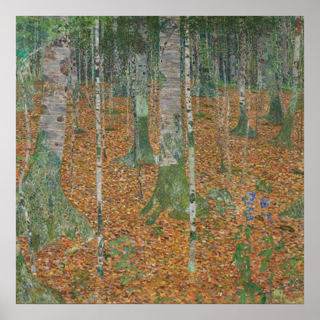 Poster Floresta de Birch — Gustav Klimt (1903) (Frente)