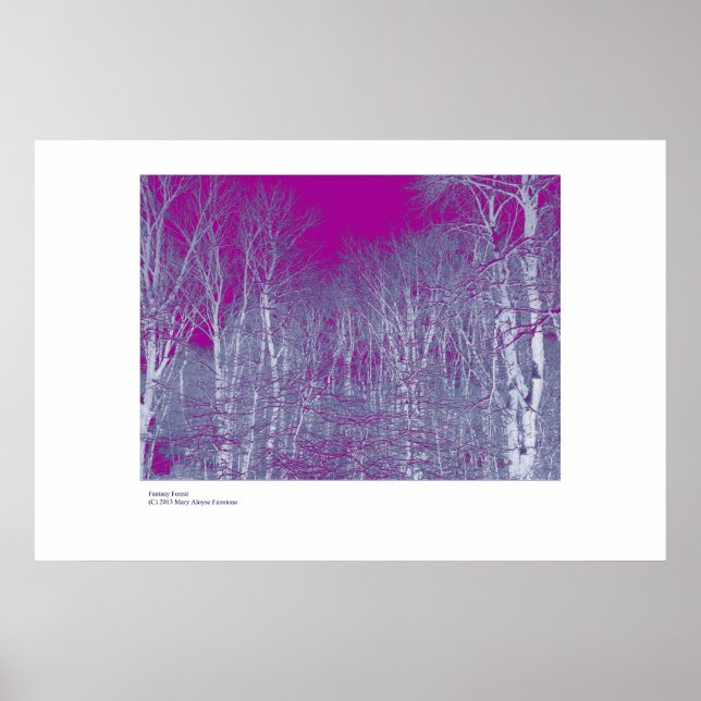 Poster Floresta de Fantasia (Frente)