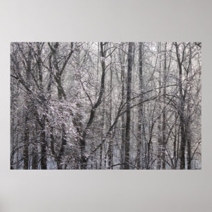 Poster Floresta de Icy Ghear na Luz da Manhã II