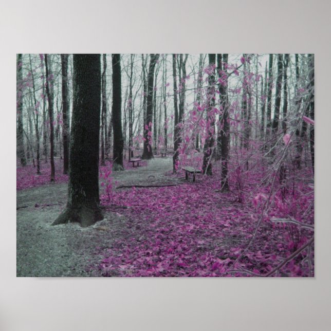 Póster Floresta de inverno (Frente)