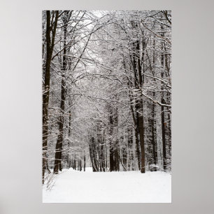 Poster Floresta de inverno