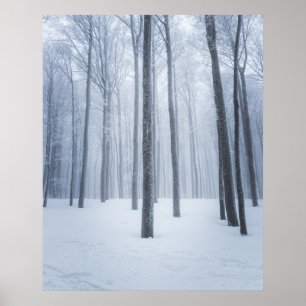 Poster Floresta de inverno congelada