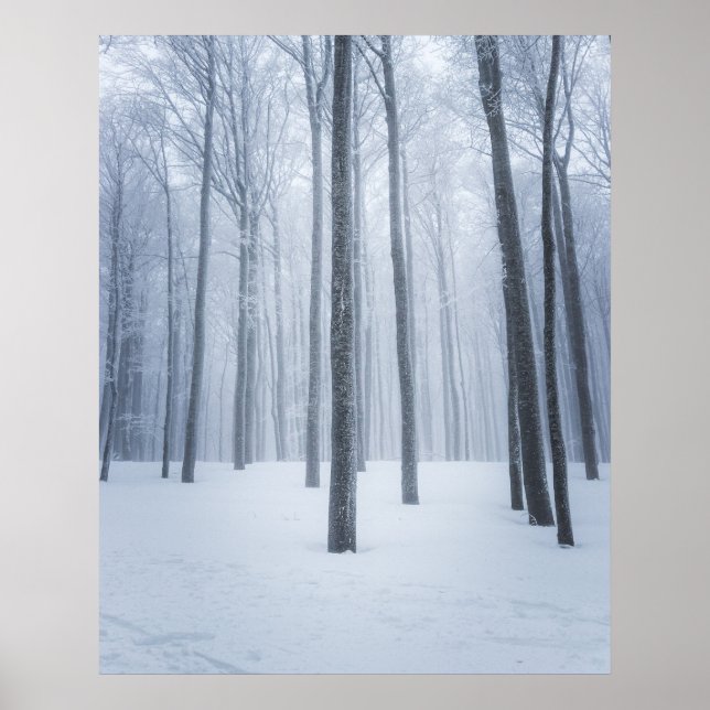Poster Floresta de inverno congelada (Frente)