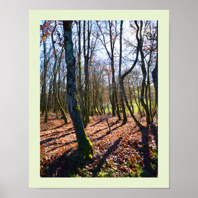 Poster Floresta de inverno em França (Frente)