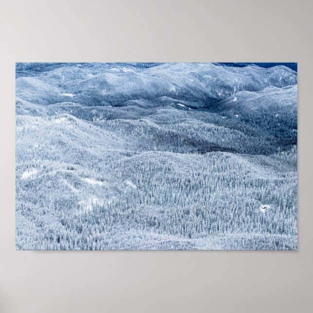 Poster Floresta de inverno sob neve profunda (Frente)