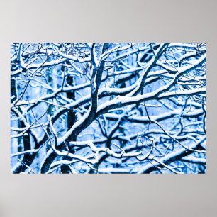Póster Floresta de Natal