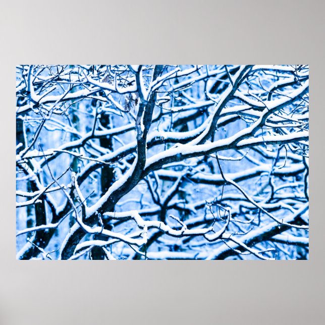 Póster Floresta de Natal (Frente)