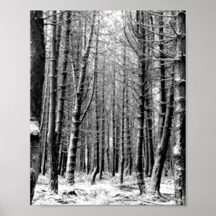 Poster Floresta de neve de inverno
