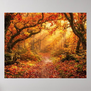 Poster Floresta de Outono