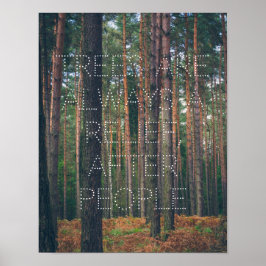 Poster Floresta de pinheiros