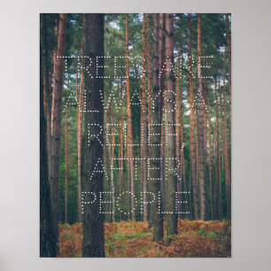 Poster Floresta de pinheiros