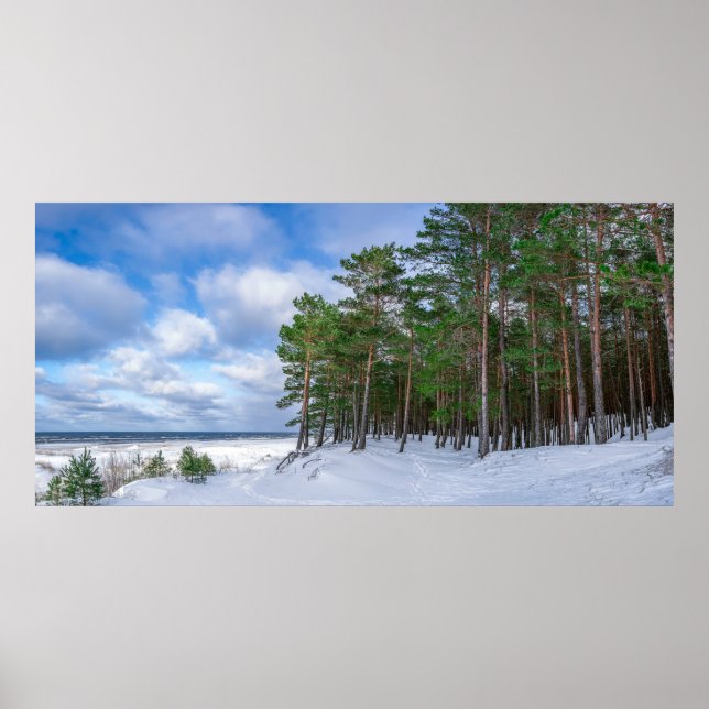 Poster Floresta de pinheiros perto da costa marítima da L (Frente)