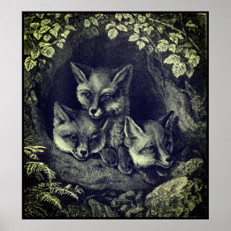 Poster Floresta de raposas de bebês