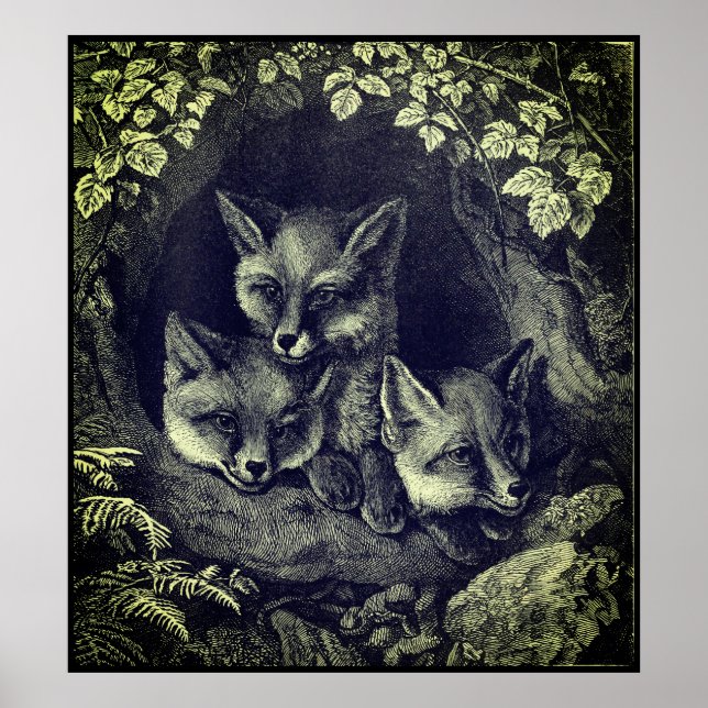 Poster Floresta de raposas de bebês (Frente)