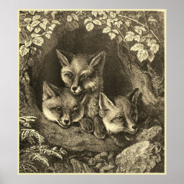 Poster Floresta de raposas de bebês