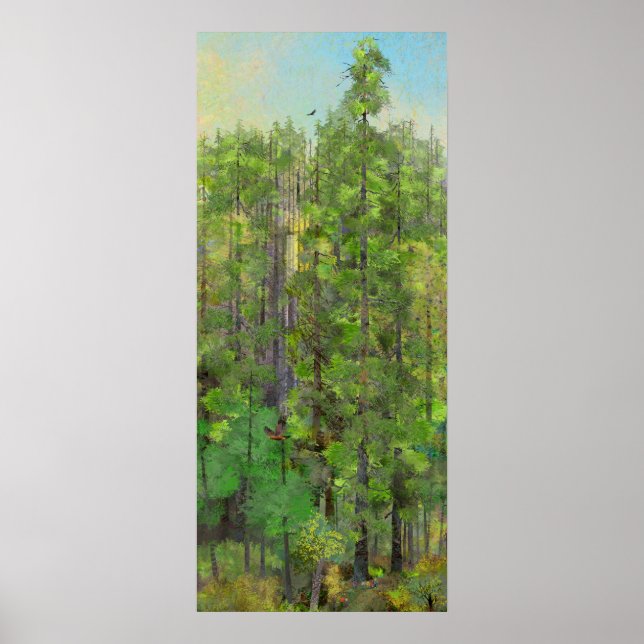 Poster Floresta de Sequoia (Frente)