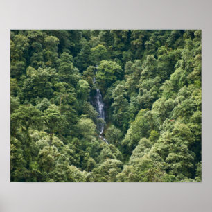 Poster Floresta do Himalaia no vale de Mangdue, Butão
