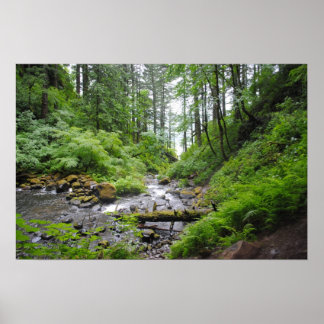 Póster Floresta do Oregon