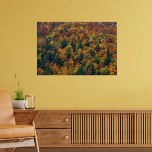 Poster Floresta do outono impressionante