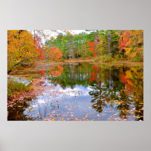 Póster Floresta do outono refletida na lagoa