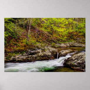 Poster Floresta do riacho nas Grandes Montanhas Fumosas