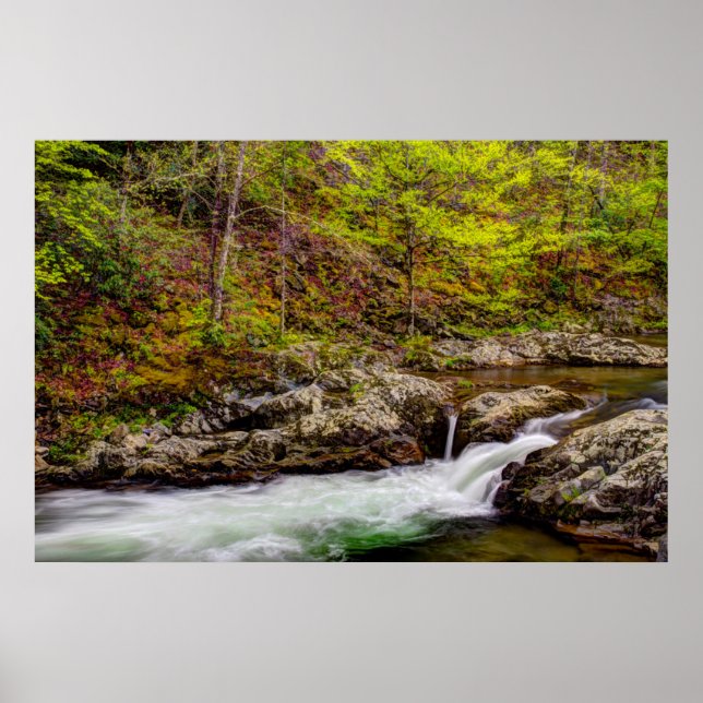 Poster Floresta do riacho nas Grandes Montanhas Fumosas (Frente)