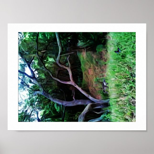 Poster Floresta do rio Sacramento (Frente)