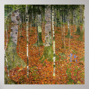 Póster Floresta do vidoeiro