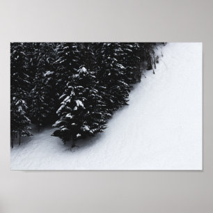 Poster Floresta e neve de espadilha branca e preta