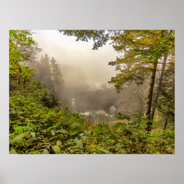 Poster Floresta e Paisagem Oceânica (Frente)