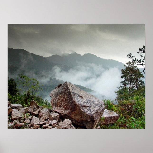 Poster Floresta em Nuvem (Frente)