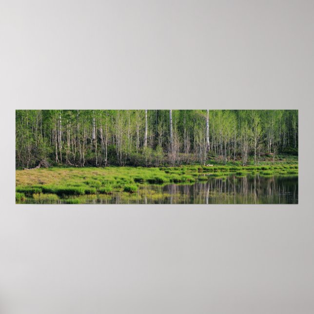 Poster Floresta Emerald (Frente)