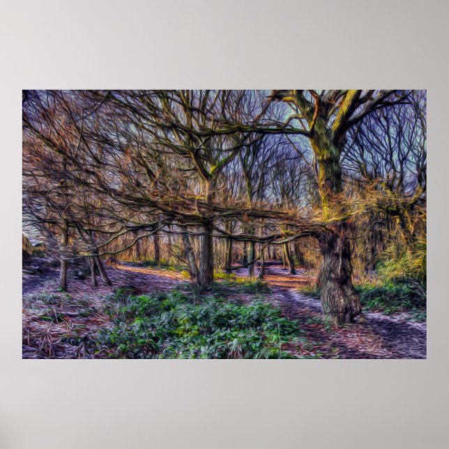 Poster Floresta Encantada 1 (Frente)