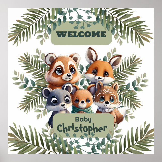 Poster Floresta Encantada Mundo das Maravilhas (Frente)