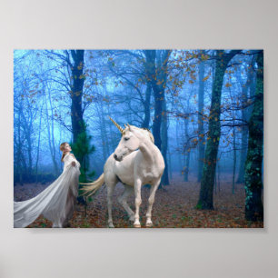 Póster Floresta enevoada