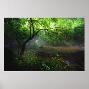 Poster Floresta entonada e cascata