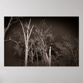Poster Floresta Escura – Arte Assustadora de Árvore em Pr