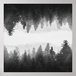Poster Floresta espelhada de neblina branca e negra