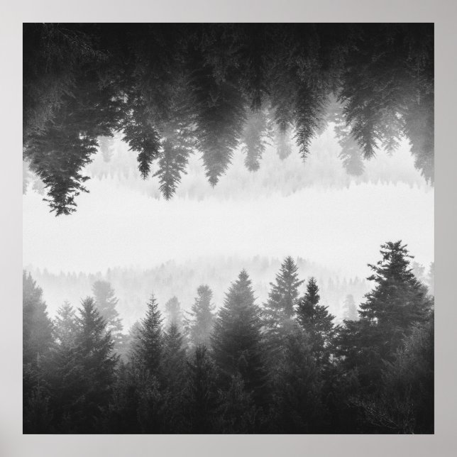 Poster Floresta espelhada de neblina branca e negra (Frente)