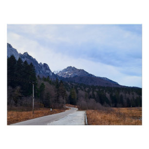 Póster Floresta Estrada Paisagem Cênica Natureza Selvagem